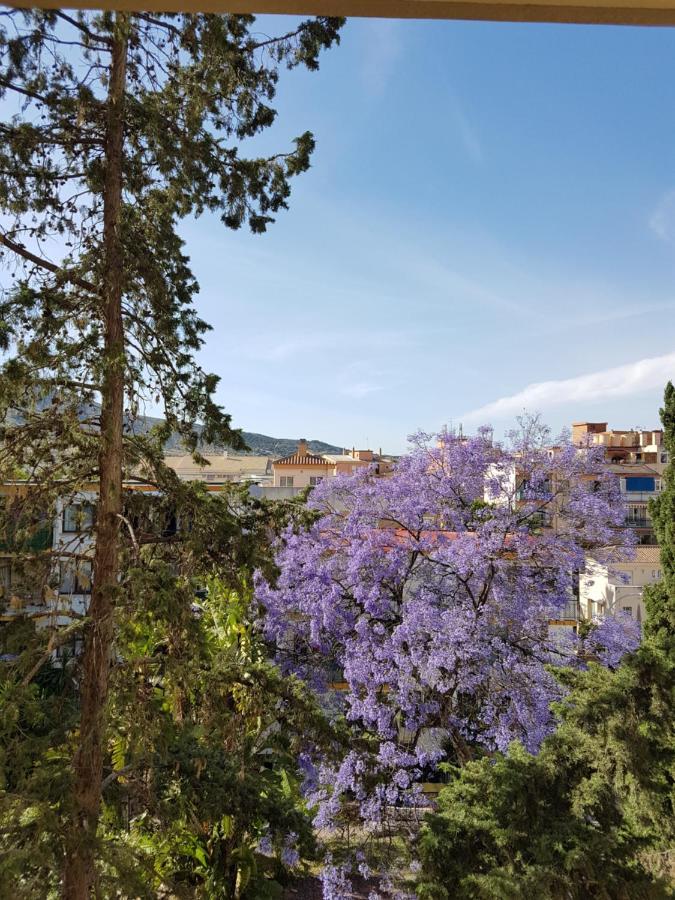 Estudiosol40 Torremolinos Eksteriør billede