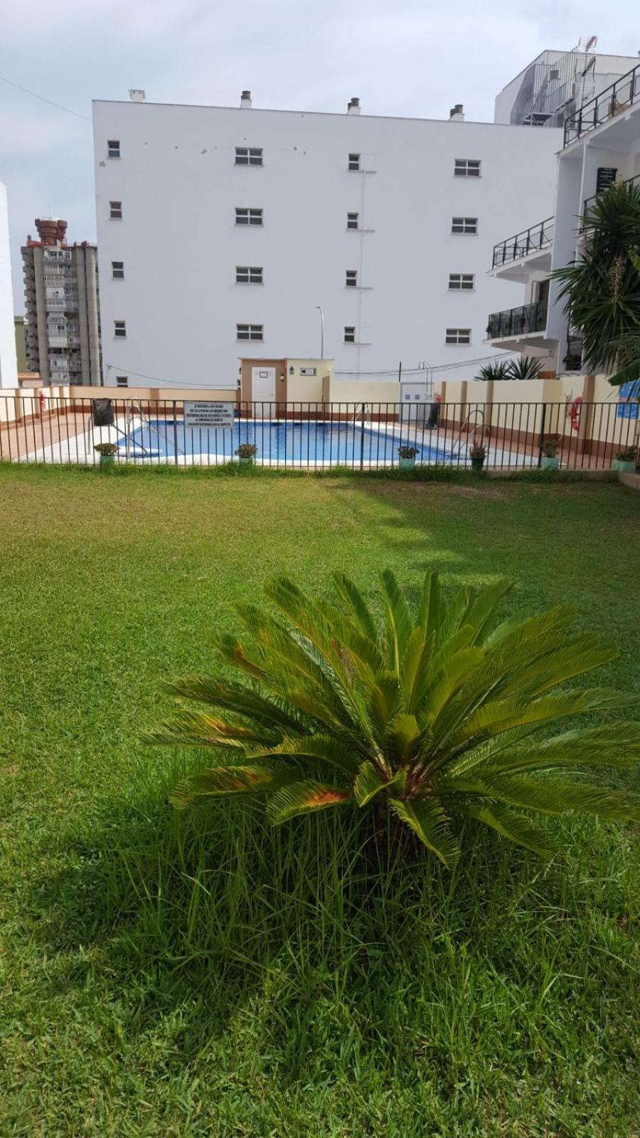Estudiosol40 Torremolinos Eksteriør billede